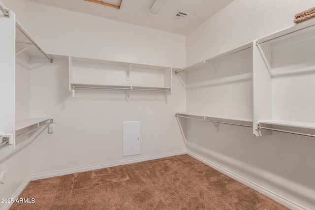 1260 E Sweet Citrus Dr, Queen Creek, AZ 85140 - spacious closet featuring carpet floors