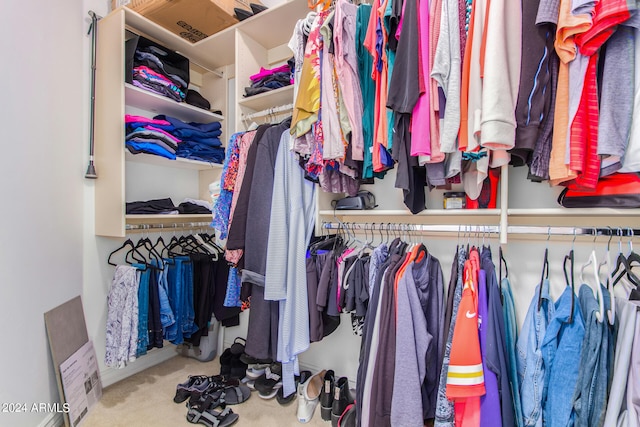 walk in closet featuring carpet floors