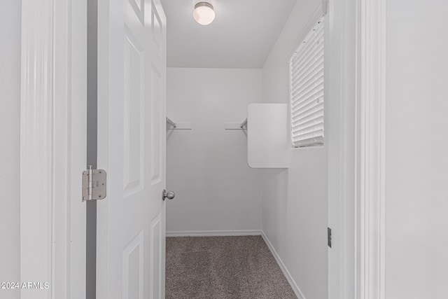 spacious closet with dark carpet