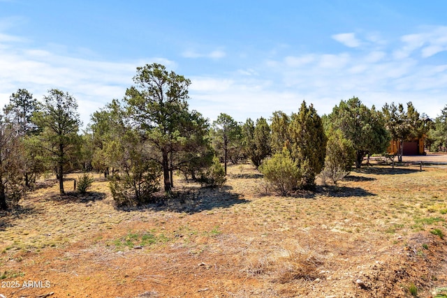 3327 Sawmill Ridge Loop Unit 103, Heber, AZ 85928