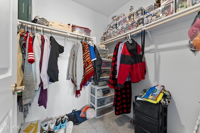 spacious closet with carpet flooring