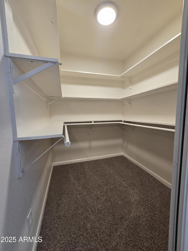 4911 W Merrell St, Phoenix, AZ 85031 - spacious closet featuring carpet floors