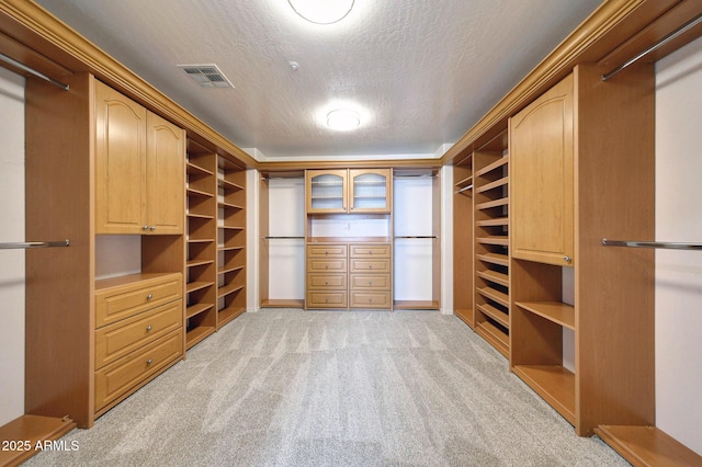 5726 W Park View Ln, Glendale, AZ 85310 - spacious closet featuring light colored carpet