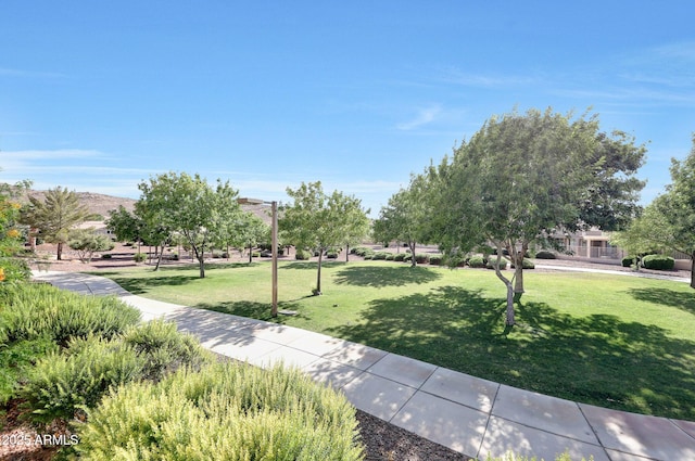 5726 W Park View Ln, Glendale, AZ 85310 - surrounding community featuring a lawn