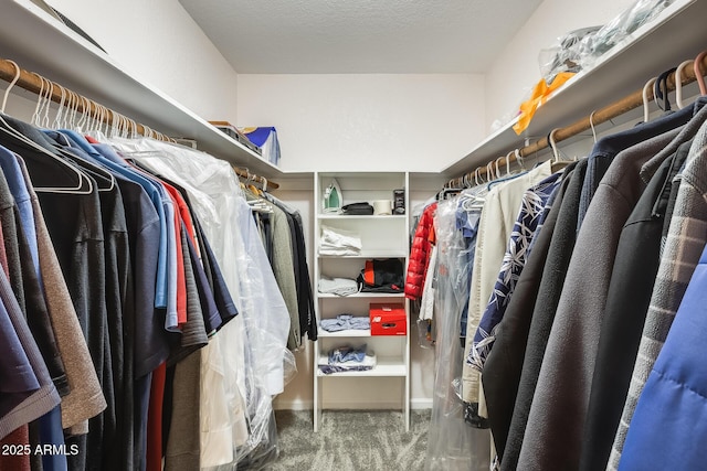 spacious closet featuring carpet