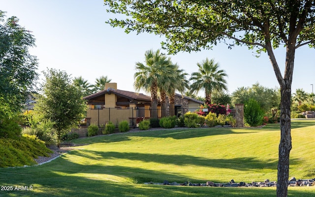 923 W Yellowstone Way, Chandler, AZ 85248 - view of yard