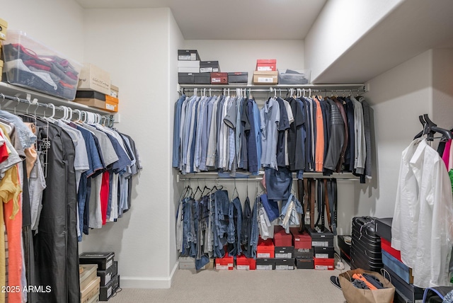923 W Yellowstone Way, Chandler, AZ 85248 - spacious closet with carpet floors