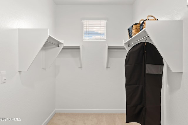 7333 W Buckhorn Trl, Peoria, AZ 85383 - spacious closet with carpet flooring