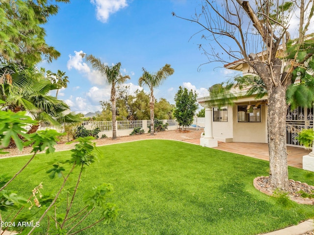 view of yard featuring a patio area