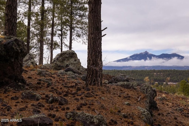 view of mountain feature