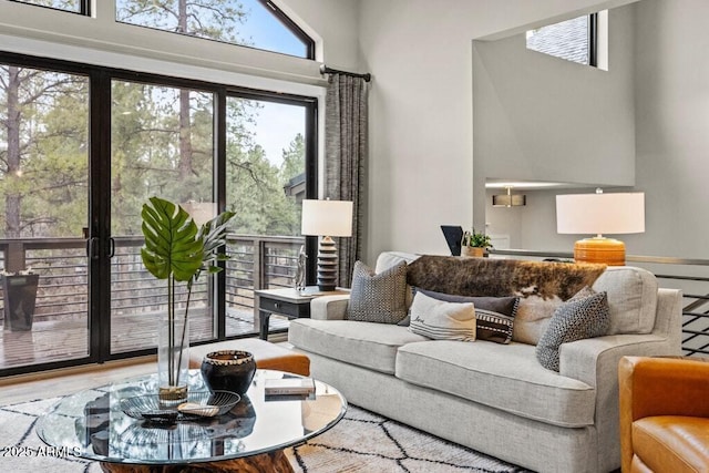living room featuring a high ceiling and wood finished floors