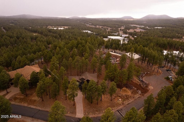 bird's eye view featuring a view of trees and a mountain view