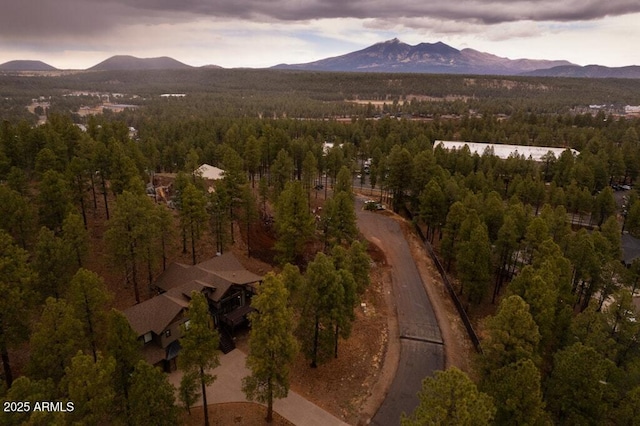 aerial view with a view of trees and a mountain view