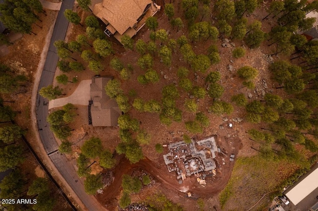 drone / aerial view