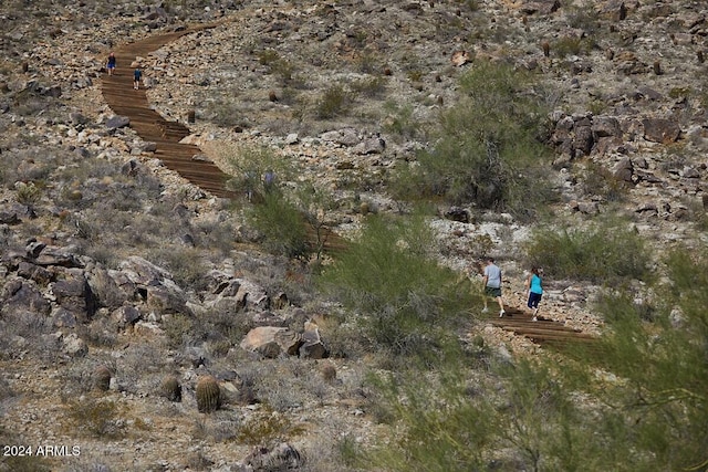 view of local wilderness