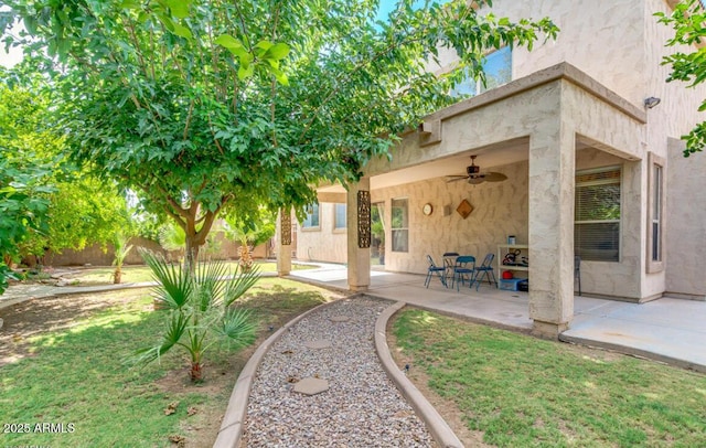 4151 E Campbell Ave, Gilbert, AZ 85234 - view of yard featuring ceiling fan, a patio area, and fence
