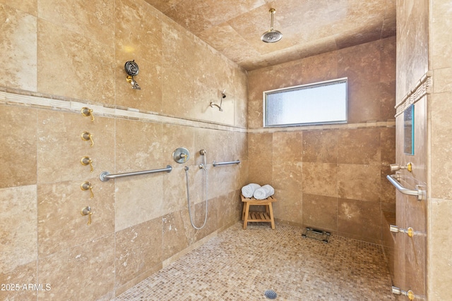 30600 N Pima Rd N Unit 81, Scottsdale, AZ 85266 - bathroom featuring tiled shower