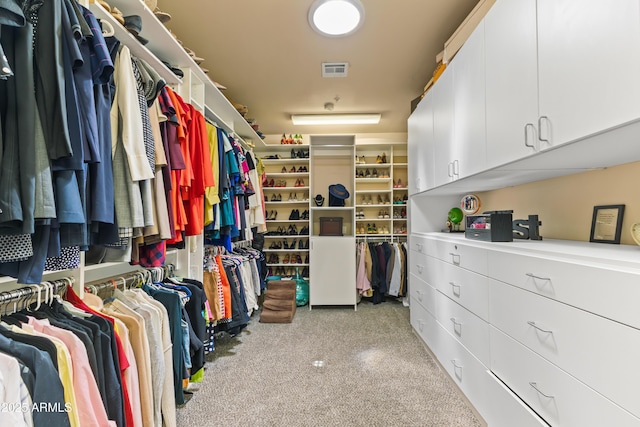30600 N Pima Rd N Unit 81, Scottsdale, AZ 85266 - spacious closet featuring carpet