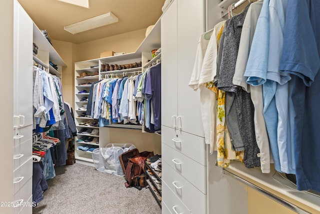 30600 N Pima Rd N Unit 81, Scottsdale, AZ 85266 - walk in closet featuring carpet