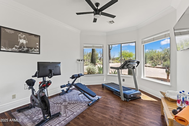 30600 N Pima Rd N Unit 81, Scottsdale, AZ 85266 - workout area featuring crown molding, ceiling fan, wood finished floors, and baseboards