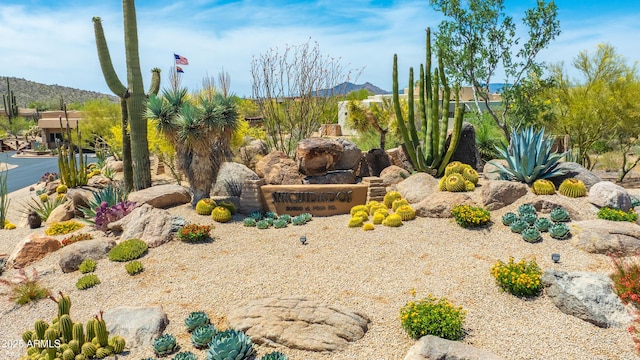 30600 N Pima Rd N Unit 81, Scottsdale, AZ 85266 - view of yard featuring a mountain view