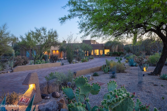 30600 N Pima Rd N Unit 81, Scottsdale, AZ 85266 - view of yard
