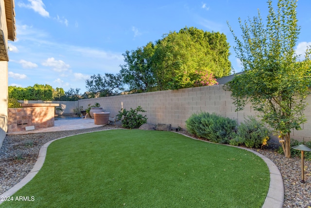 view of yard featuring a patio area