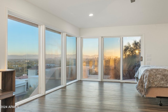 bedroom with access to outside, multiple windows, and dark hardwood / wood-style floors