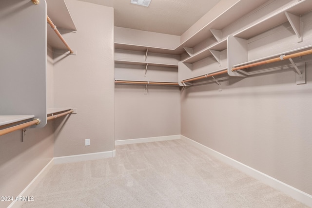 spacious closet featuring carpet