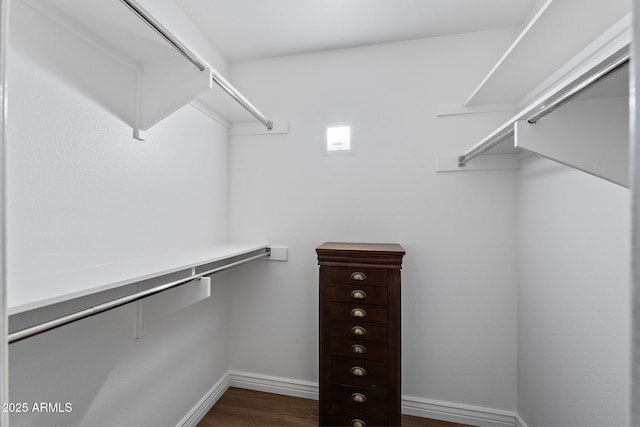 walk in closet featuring dark wood-style floors