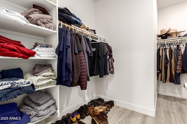 1736 E Joelle Dr, Casa Grande, AZ 85122 - walk in closet with wood finished floors
