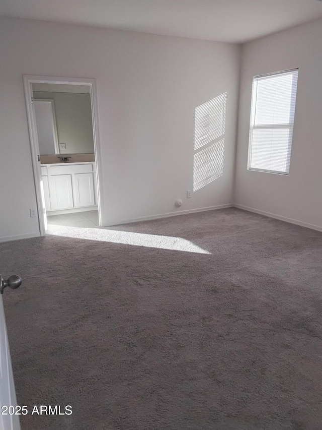 spare room with carpet floors