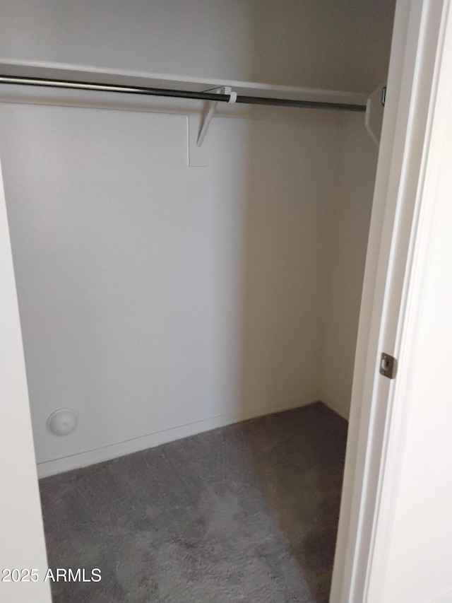 spacious closet with dark carpet