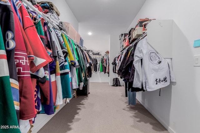 spacious closet with light carpet