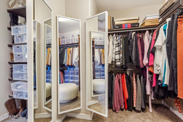 walk in closet featuring carpet flooring