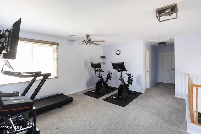 workout room featuring ceiling fan and carpet flooring