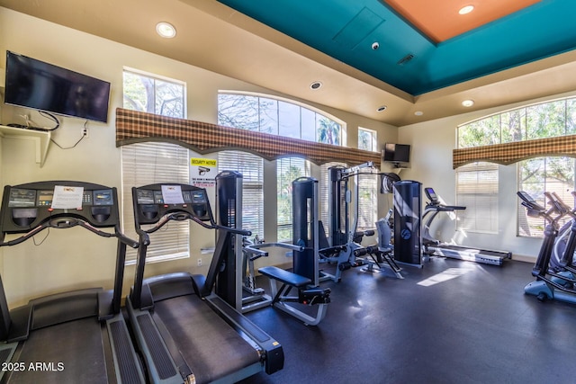 workout area featuring a raised ceiling and a wealth of natural light