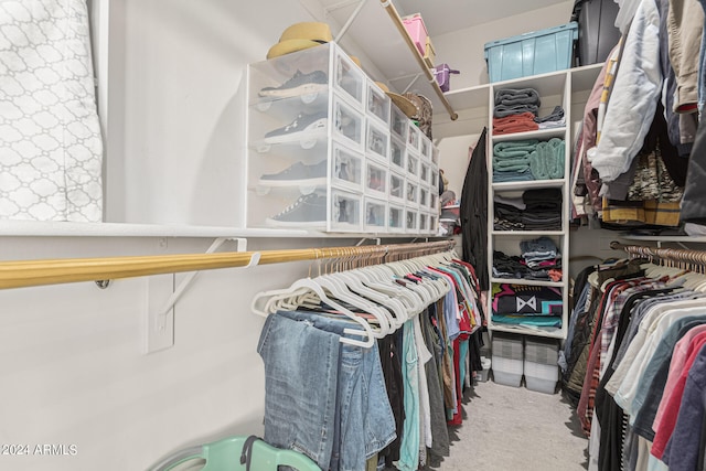 spacious closet featuring carpet floors