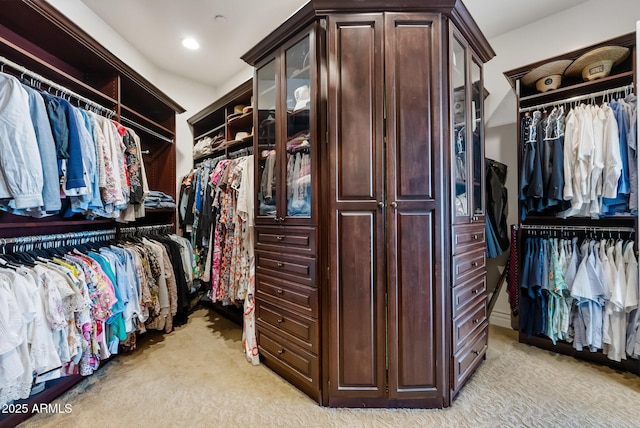 spacious closet with light carpet