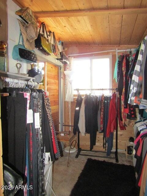 walk in closet featuring carpet floors