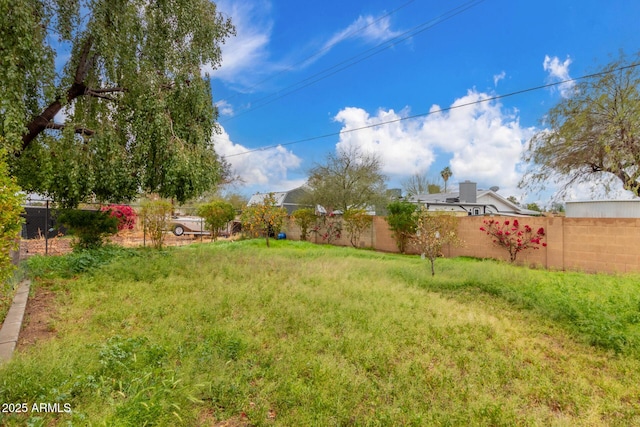 view of yard featuring a fenced backyard