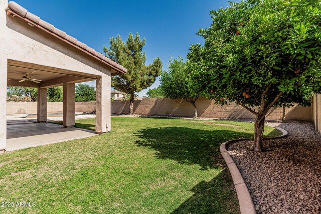 4507 E Lantern Pl, Gilbert, AZ 85297 - view of yard featuring a patio area and ceiling fan