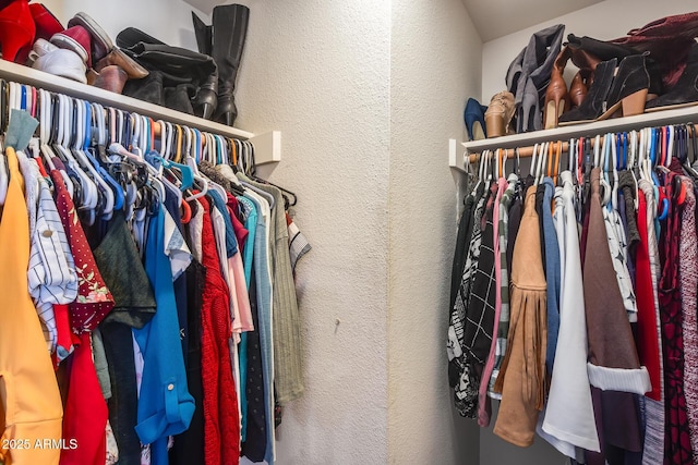 view of spacious closet