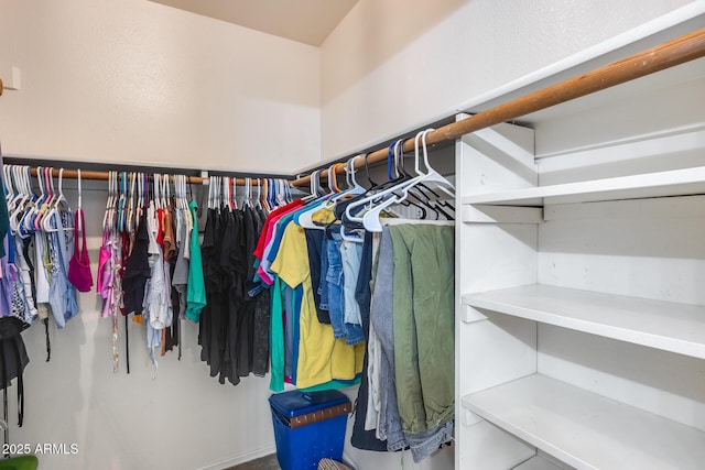 view of spacious closet