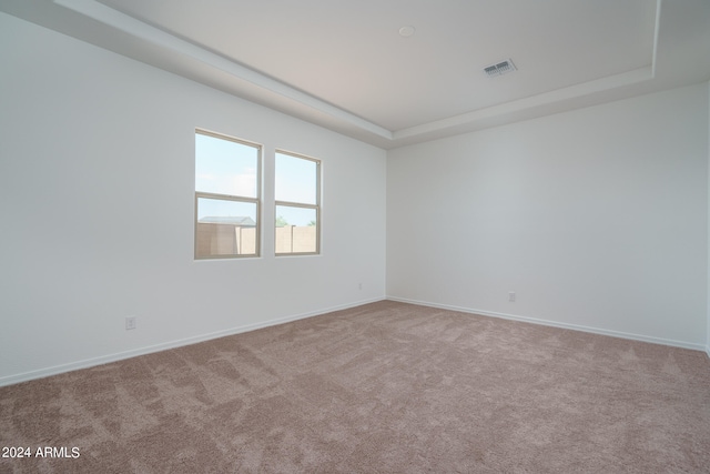 carpeted spare room featuring a raised ceiling