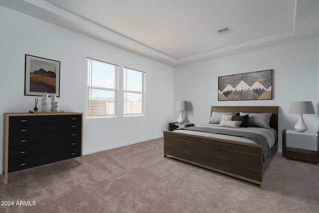 bedroom featuring light carpet and a raised ceiling