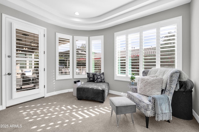 sitting room featuring carpet