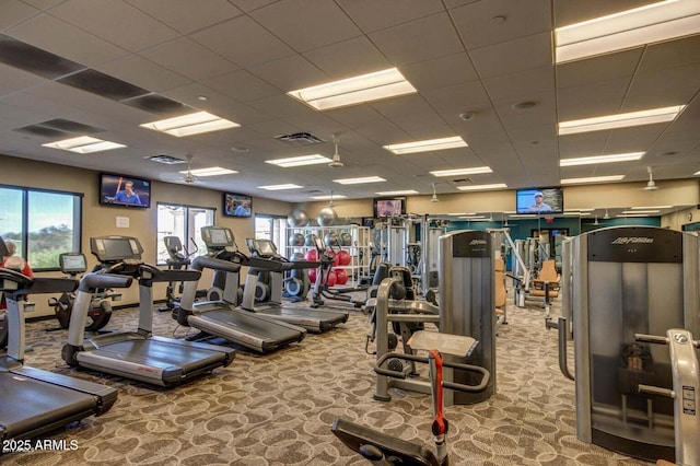 gym with carpet and a paneled ceiling