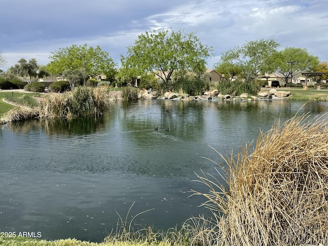 property view of water