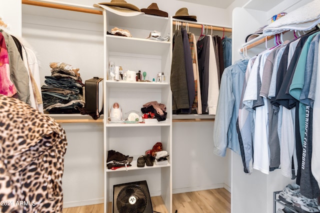 walk in closet featuring light wood-type flooring